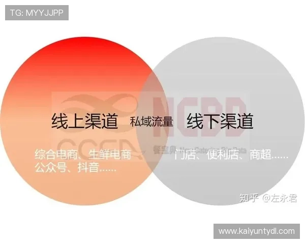 Kaiyun开云直营线上线下融合发展新模式,打造全渠道购物体验 Kaiyun开云直营线上线下融合发展新模式,打造全渠道购物体验