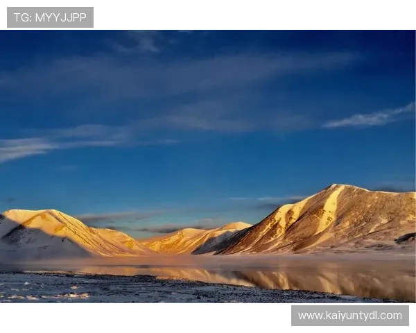 开云注册失败的常见原因及有效的解决步骤帮助用户顺利注册
