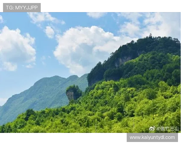 探秘开云kaiyun官网，让你更好地利用其功能与资源